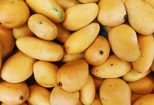 Mango