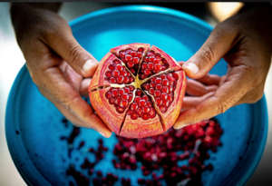 Pomegranate