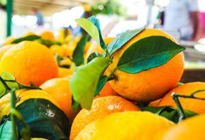 oranges