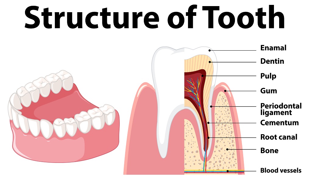 Pulpitis