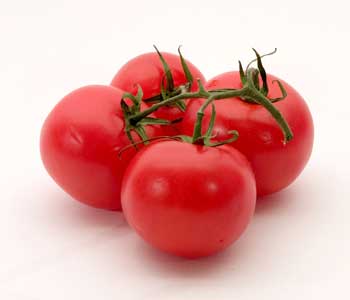 tomato